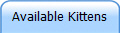 Available Kittens